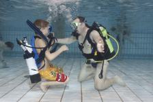 schnuppertauchen 2012_01_06_54